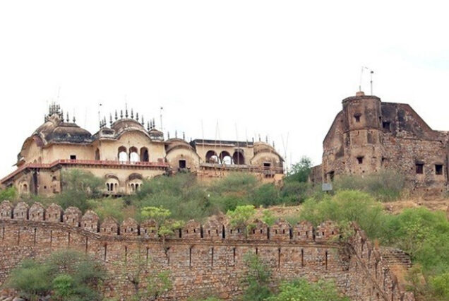 A day visit to Alwar