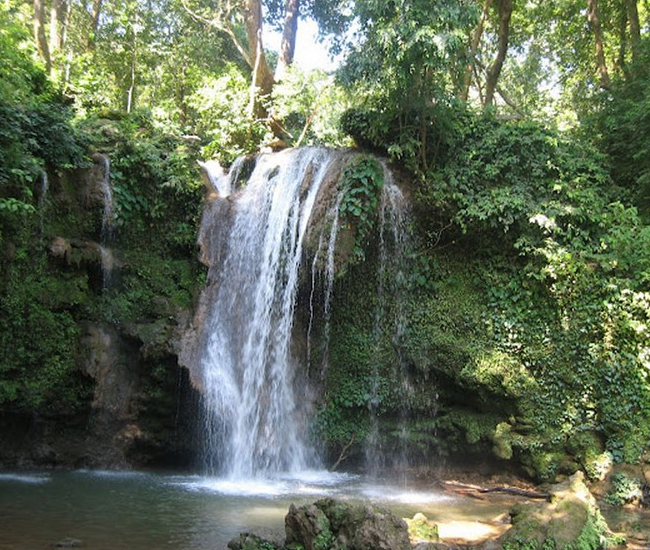 Corbett1